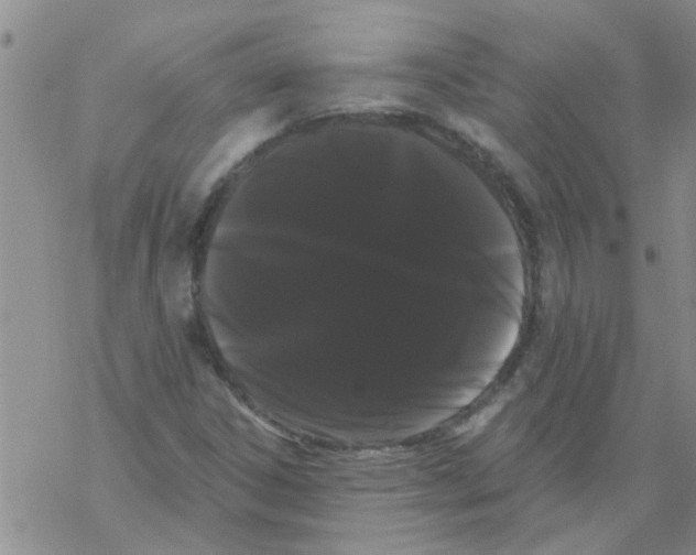 X0000068291306200605191908