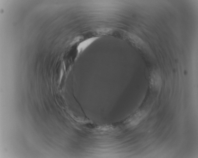 X0000068291346200605191908