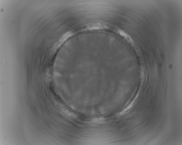 X0000068291353200605191908
