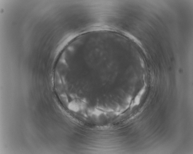 X0000068291415200605191907