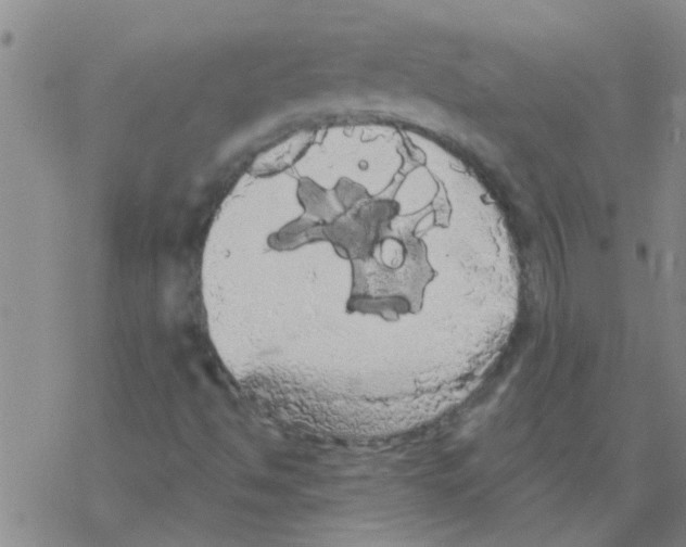 X0000068291494200605191905