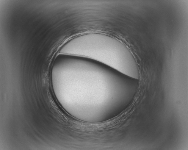 X0000068300002200604211023