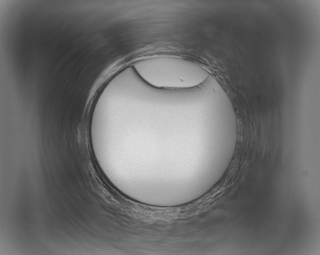X0000068300004200604211023
