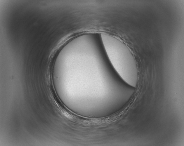 X0000068300005200604211023