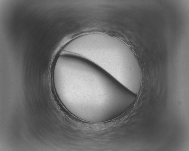 X0000068300006200604211023
