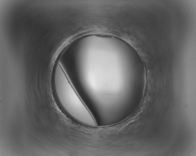 X0000068300007200604211023