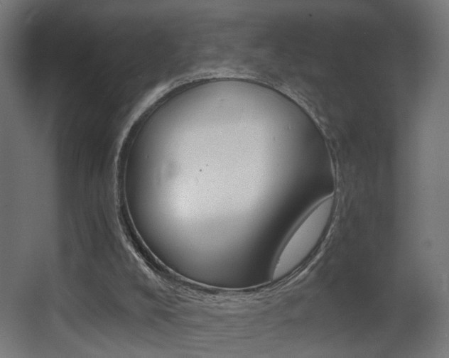 X0000068300008200604211022