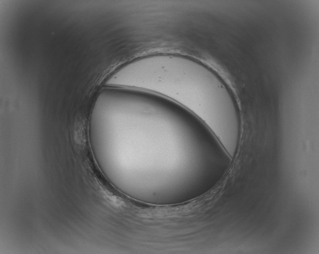 X0000068300009200604211022