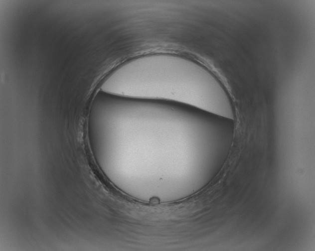 X0000068300010200604211022