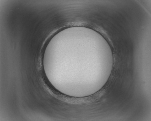 X0000068300012200604211022