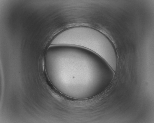 X0000068300013200604211022
