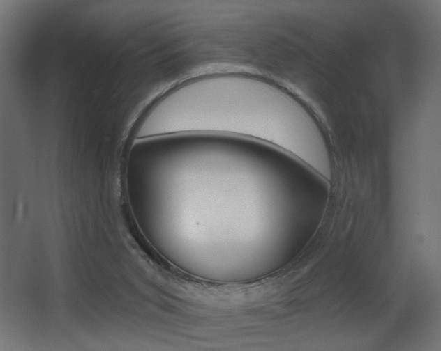 X0000068300015200604211022