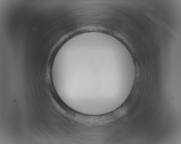 X0000068300016200604211022