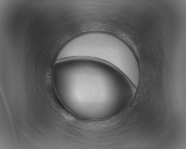 X0000068300017200604211022