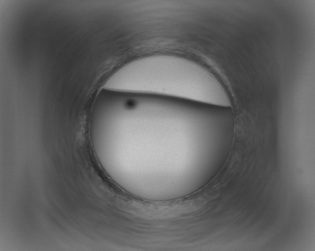 X0000068300018200604211022
