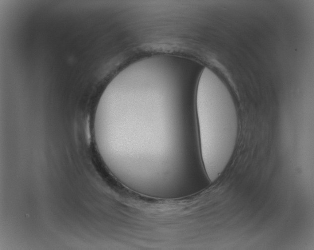 X0000068300020200604211022