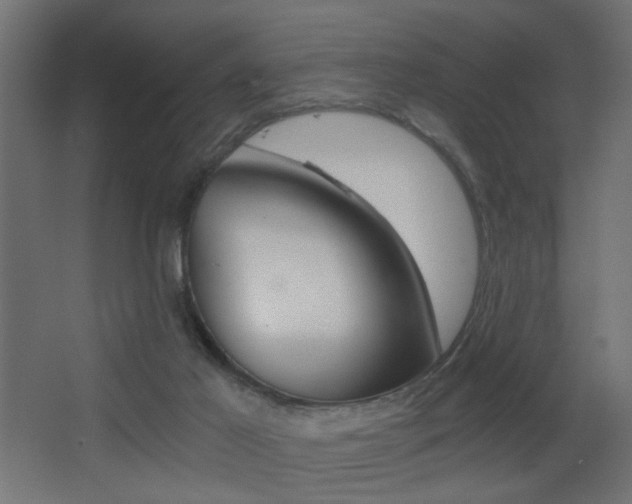 X0000068300021200604211022