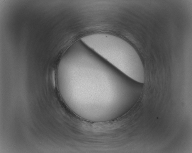 X0000068300022200604211022