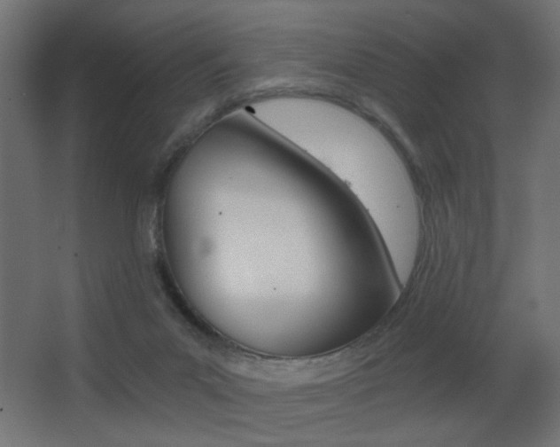 X0000068300023200604211022
