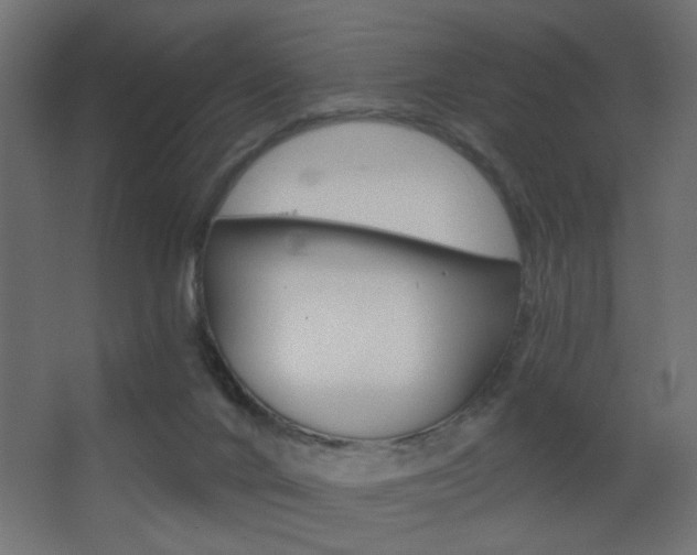 X0000068300024200604211022