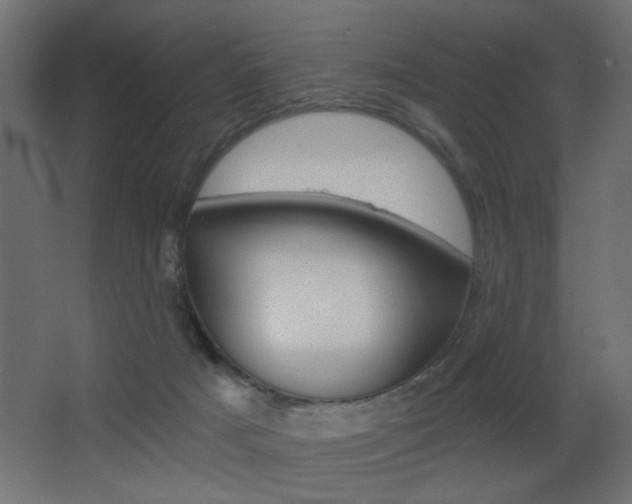 X0000068300025200604211022