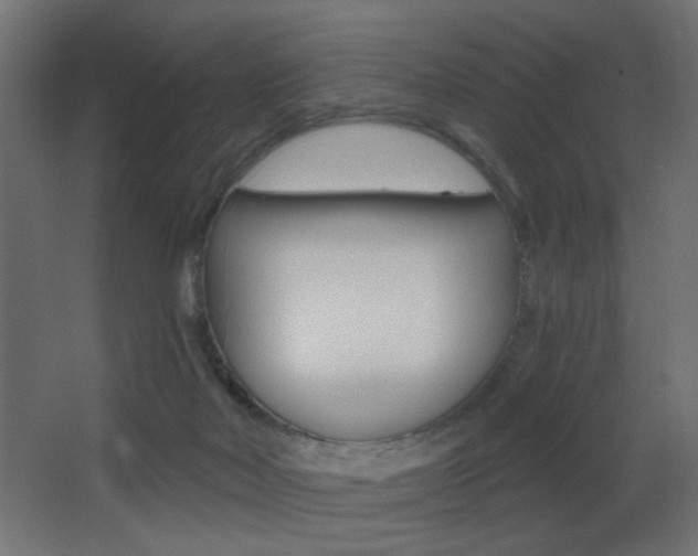 X0000068300026200604211022