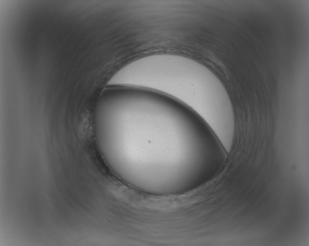 X0000068300029200604211022