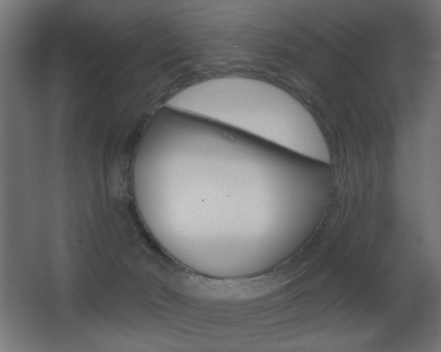 X0000068300030200604211022