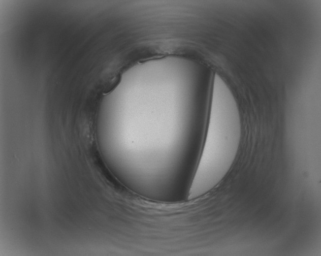 X0000068300031200604211022