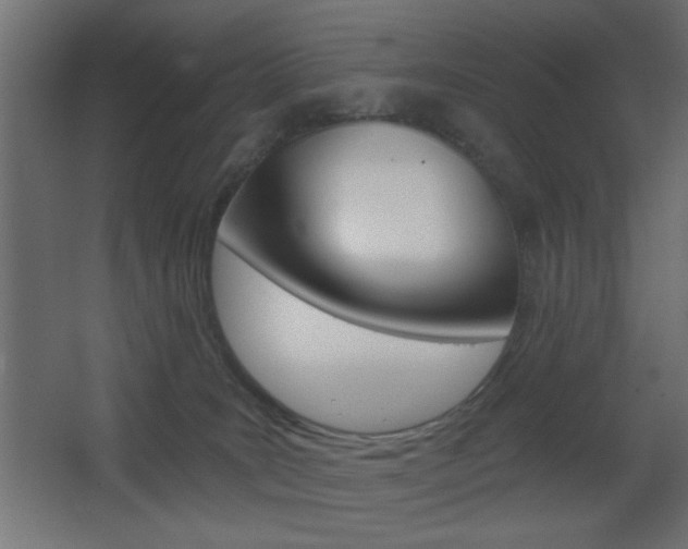 X0000068300035200604211022