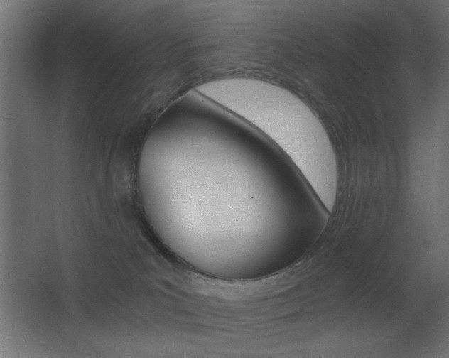 X0000068300039200604211022