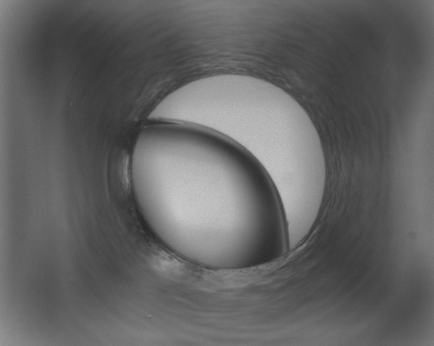 X0000068300041200604211022