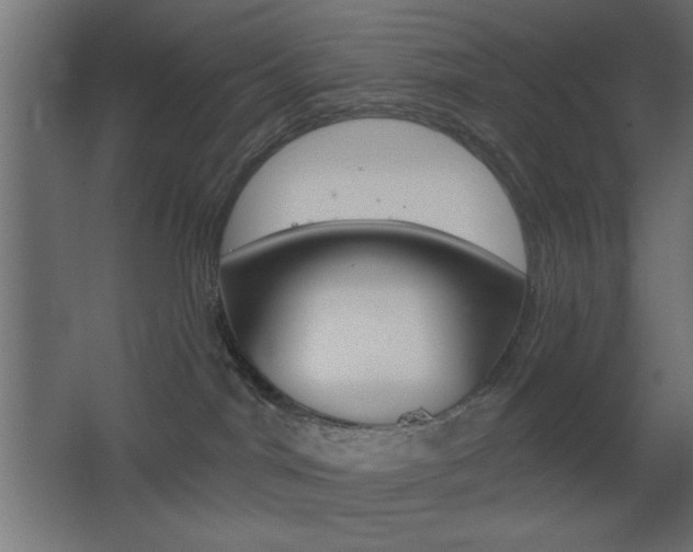 X0000068300044200604211022