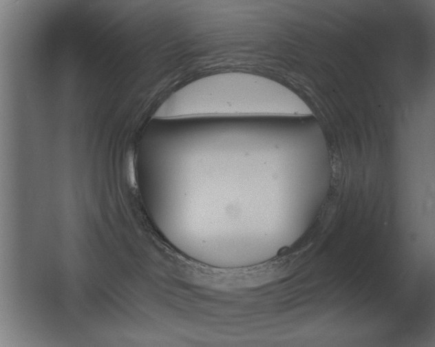 X0000068300046200604211022