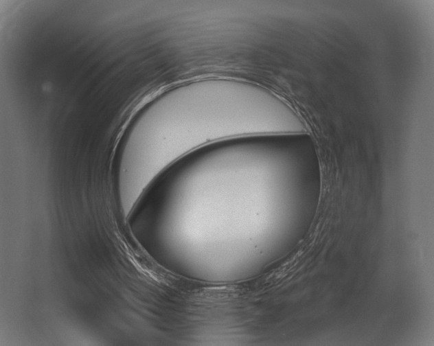 X0000068300050200604211021
