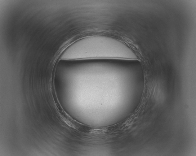 X0000068300051200604211021