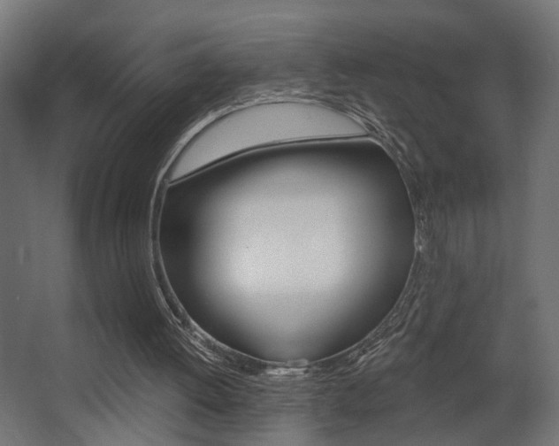 X0000068300052200604211021