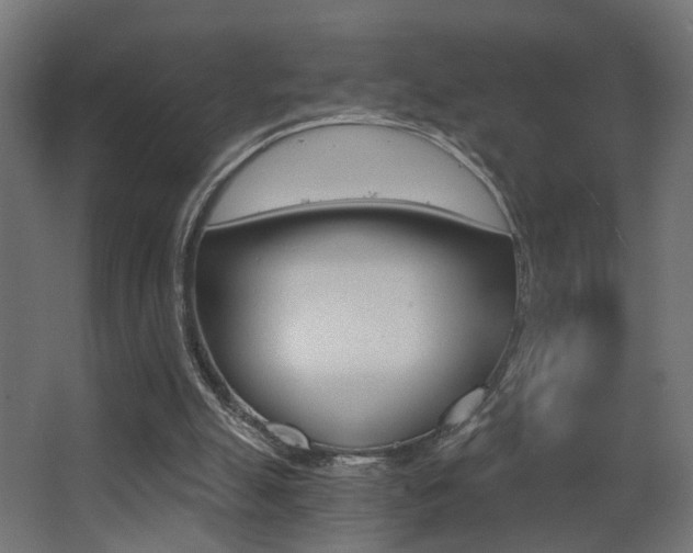 X0000068300055200604211021