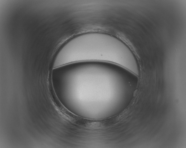 X0000068300058200604211021