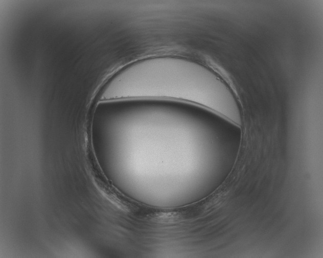 X0000068300059200604211021