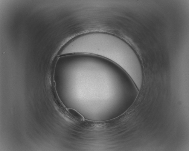 X0000068300060200604211021