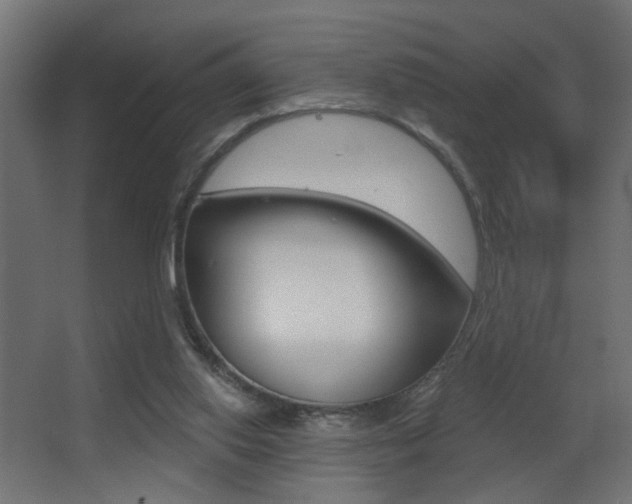 X0000068300062200604211021