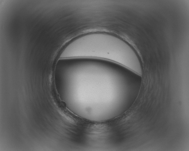 X0000068300063200604211021