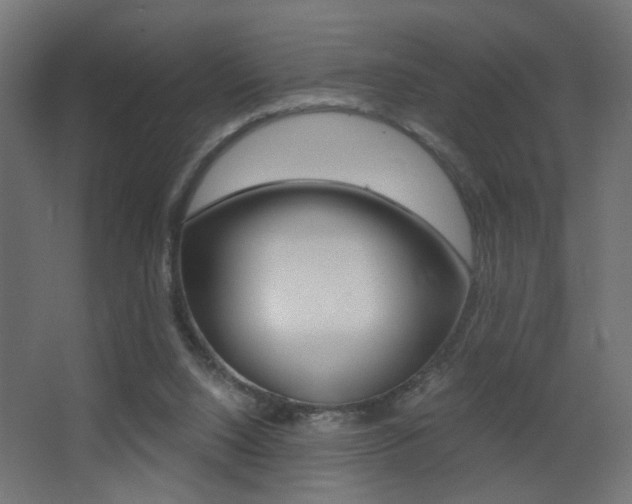 X0000068300064200604211021