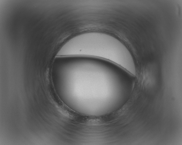 X0000068300066200604211021