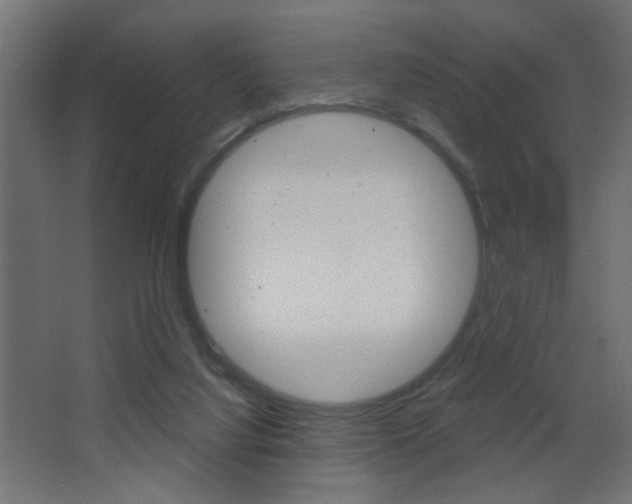 X0000068300068200604211021