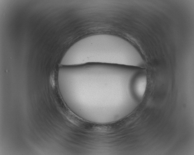 X0000068300069200604211021