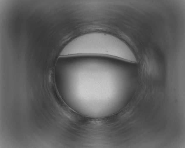 X0000068300071200604211021