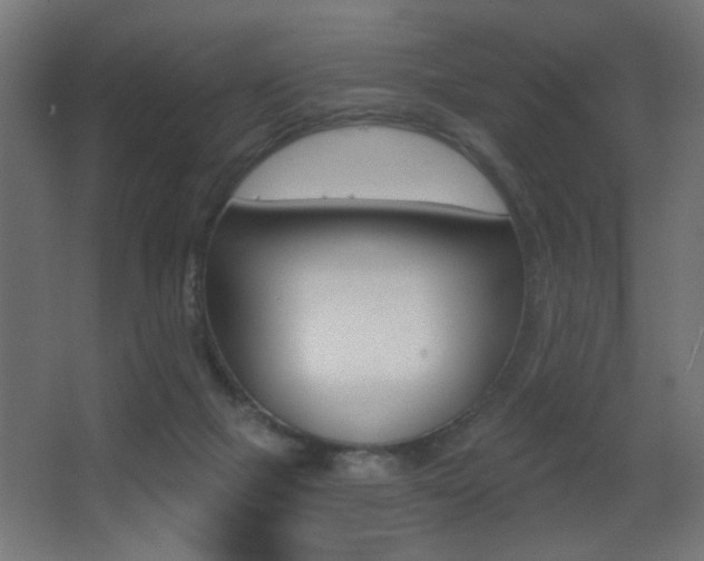X0000068300073200604211021