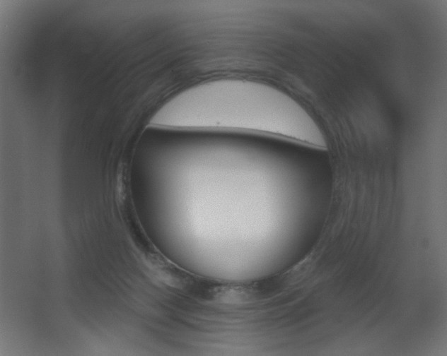 X0000068300074200604211021